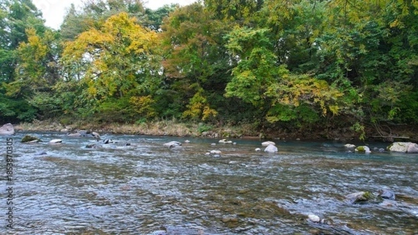 Obraz 紅葉の中を流れる清流