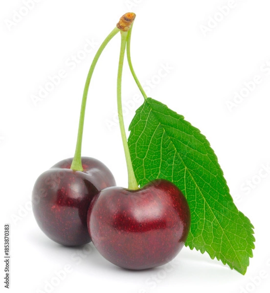 Obraz Two ripe dark red cherries with leaf isolated on white