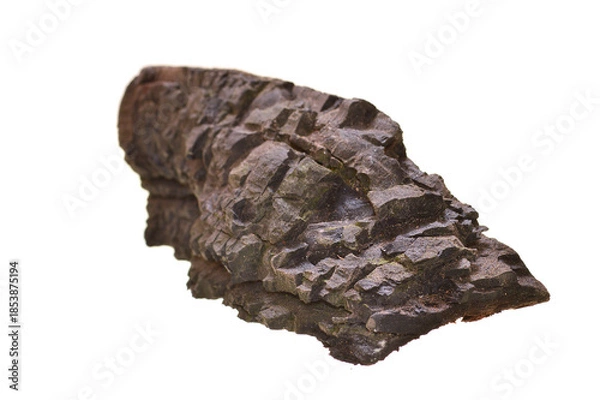 Obraz firewood isolated on white background