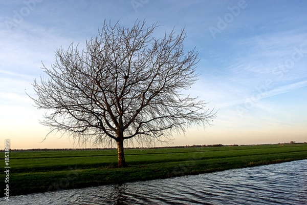 Obraz Dutch Landscape