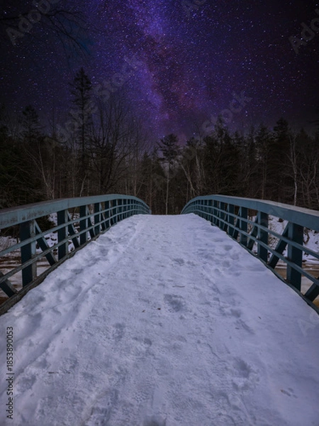 Obraz night in the park