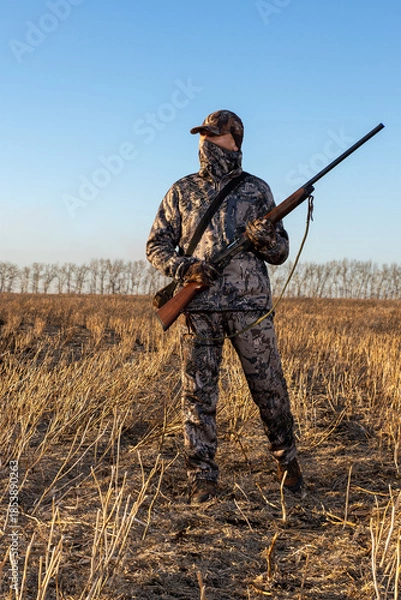 Obraz Hunter with hunting gun and hunting form to hunt.