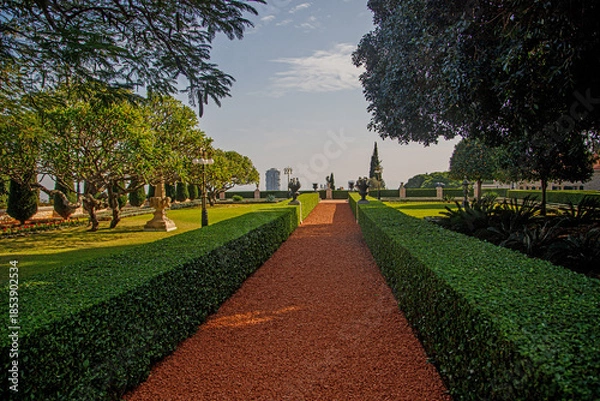 Obraz spring in the park