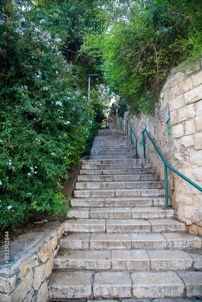 Obraz path in the park