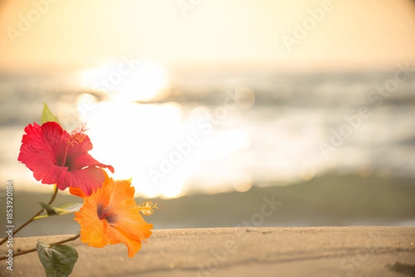 Obraz 夕日の砂浜とハイビスカス