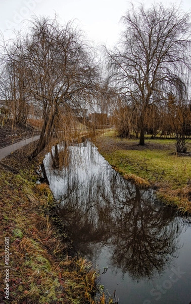 Fototapeta Ückerarm Torgelow