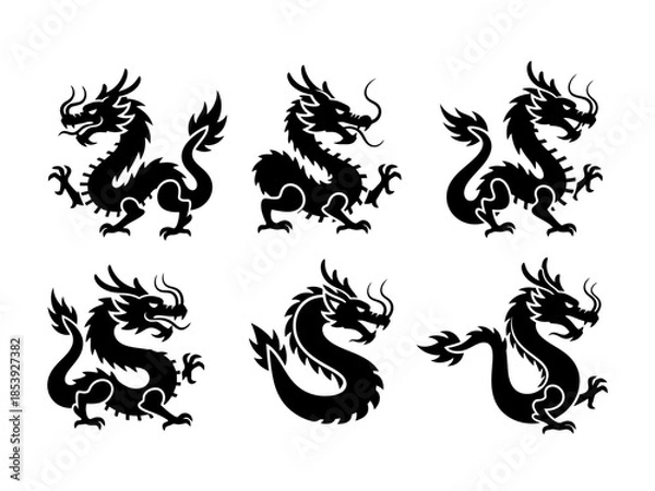 Fototapeta chinese dragon set