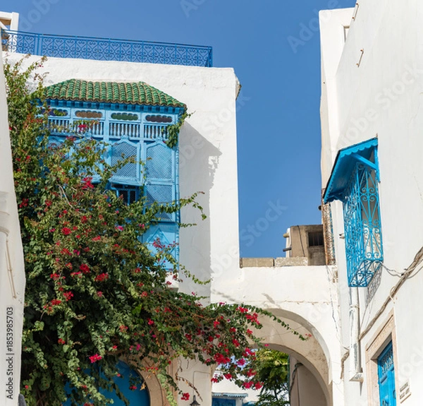 Obraz Sidi Bou Said Facades
