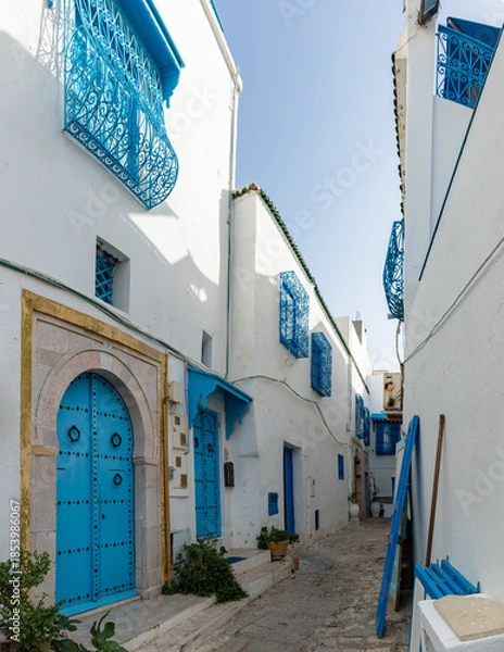 Obraz Sidi Bou Said Streets
