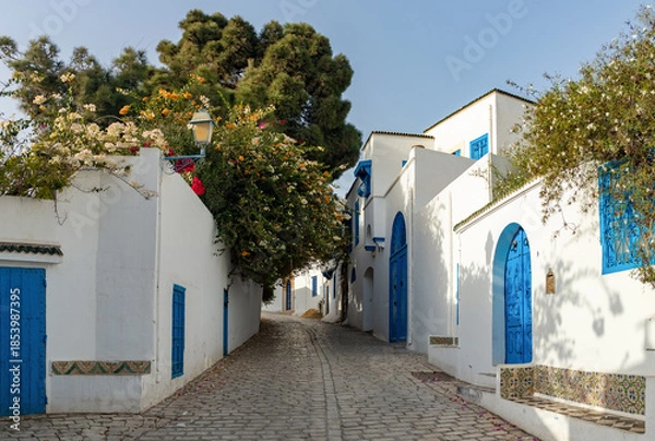 Obraz Sidi Bou Said Streets