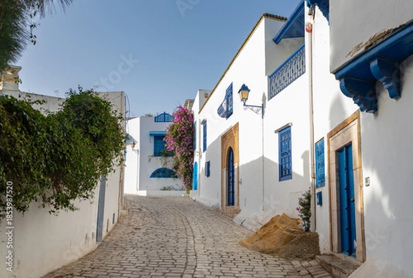 Obraz Sidi Bou Said Streets