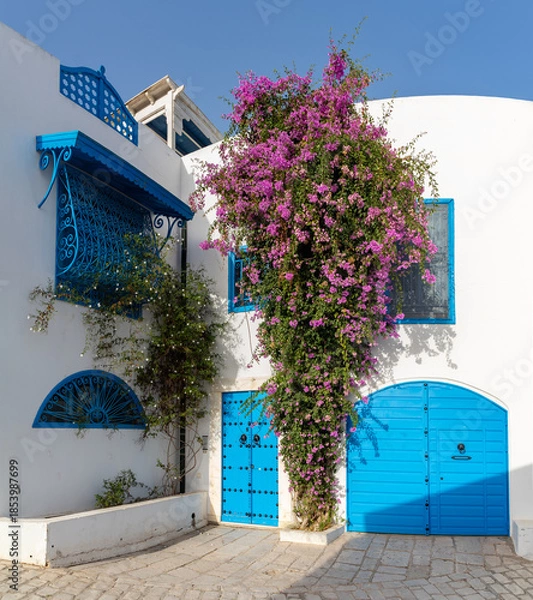 Obraz Sidi Bou Said Streets