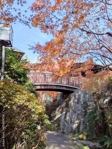 Obraz 丈山苑、庭の風景