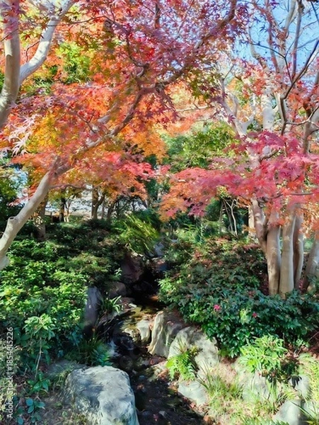 Obraz 丈山苑、紅葉に囲まれた庭の渓流