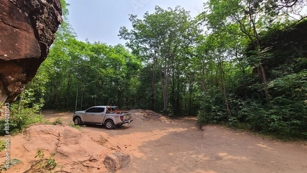 Obraz 森の中を運転