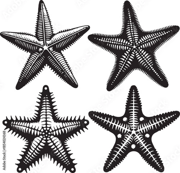 Obraz Star fish text icon silhouette vector with white background