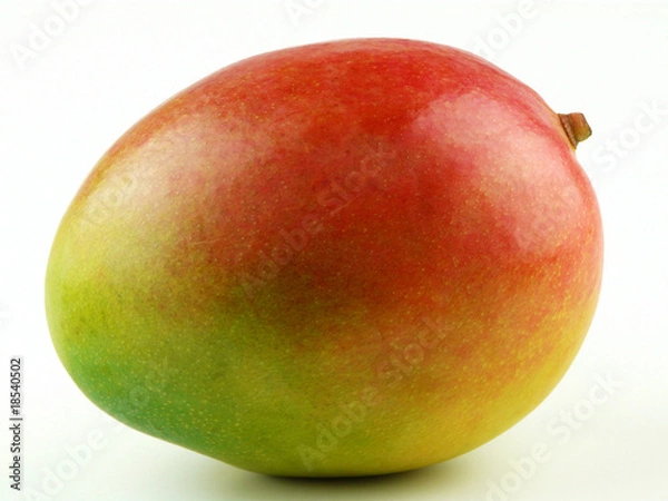 Obraz Mango I