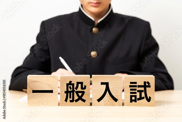 Obraz 「一般入試」と書かれたブロックと男子学生