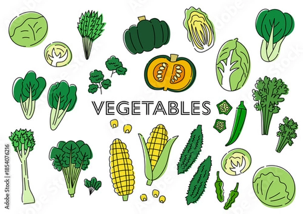 Obraz 野菜の手描きイラストセット