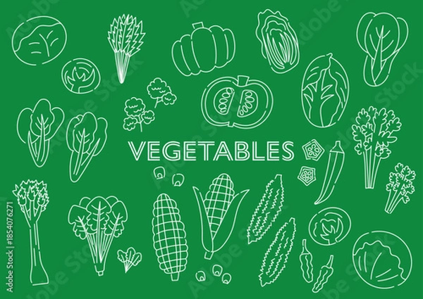 Obraz 野菜の手描きイラストセット
