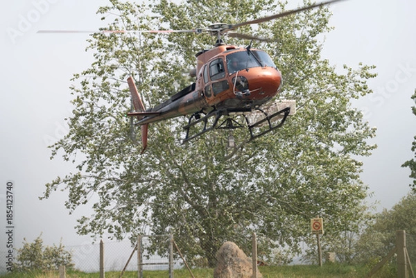 Obraz Helicopter Hovering Near Tree in Natural Setting