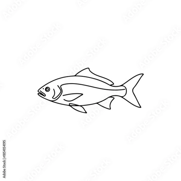 Obraz Fish outline isolated on transparent background