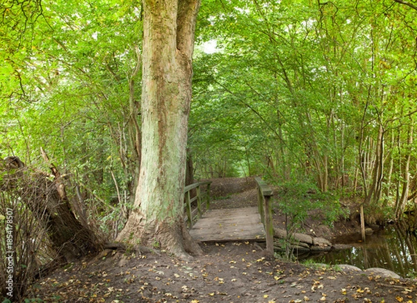 Obraz Hørsholm in denmark
