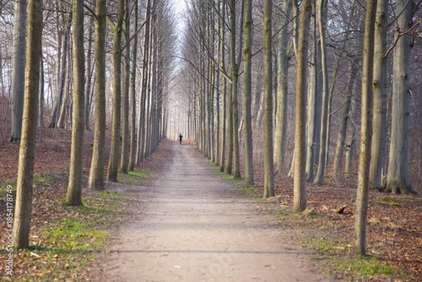 Obraz Hørsholm in denmark