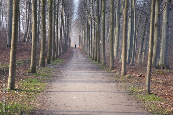 Obraz Hørsholm in denmark