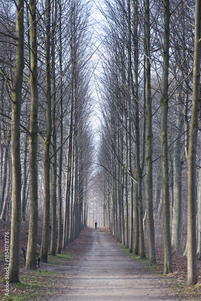 Obraz Hørsholm in denmark