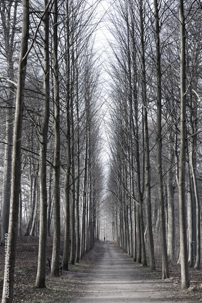 Obraz Hørsholm in denmark