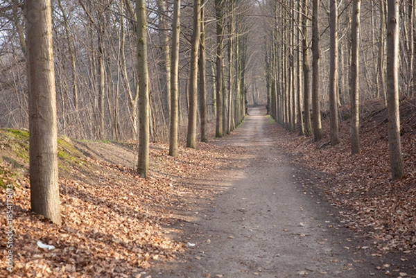 Obraz Hørsholm in denmark