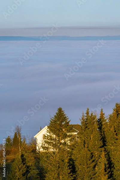 Fototapeta Evening mist from Lake Mjøsa in the edge zone of the cultural landscape of Toten up to the Totenåsen Hills, Norway, in November 2024.