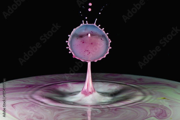 Obraz Milk Drop Splash Close-Up View