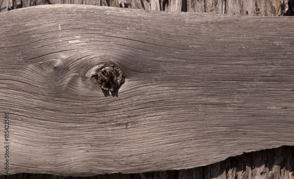 Obraz Canadian Wood Grain Textures