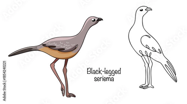 Obraz Black-legged seriema