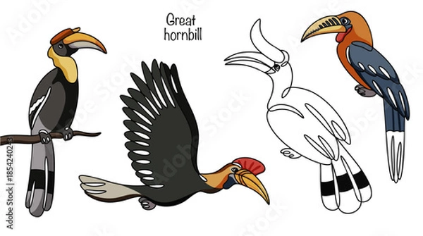 Obraz Great hornbill