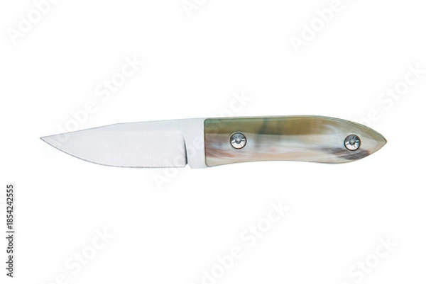Obraz Custom fixed blade knife with a polished iridescent handle isolated on a white back