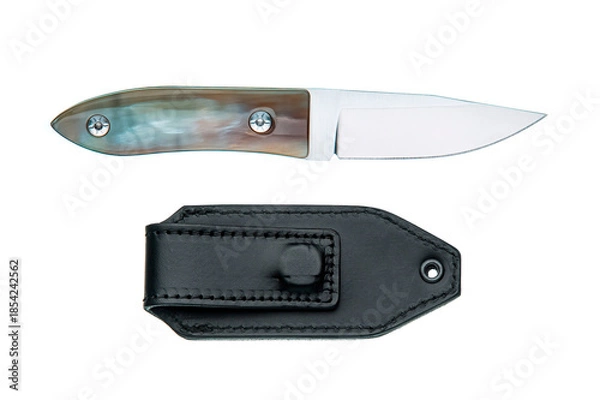 Obraz Custom fixed blade knife with iridescent handle and black leather sheath on white back