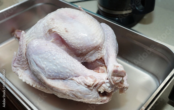 Obraz Raw whole turkey in metal roasting pan