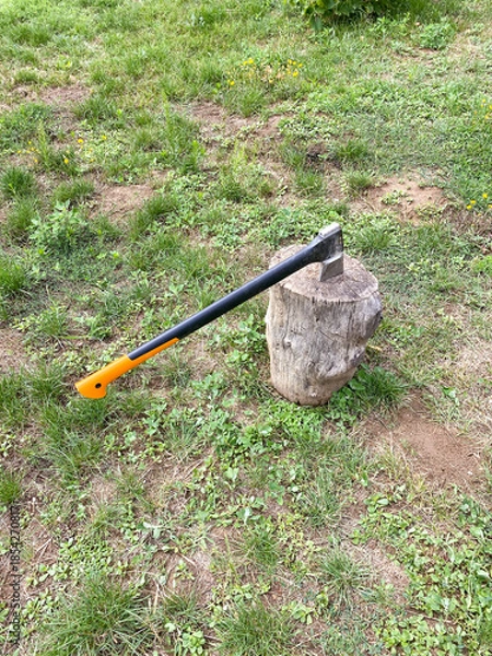 Obraz axe embedded in tree stump on grassy field