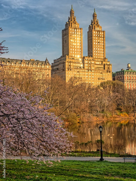 Obraz Central Park in spring