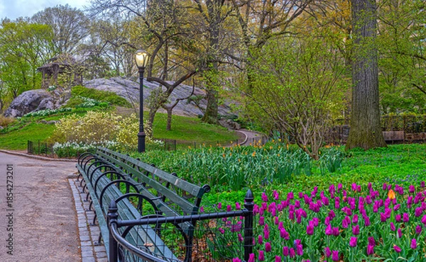 Obraz Central Park in spring