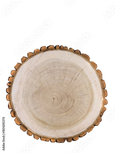 Obraz Populus deltoides