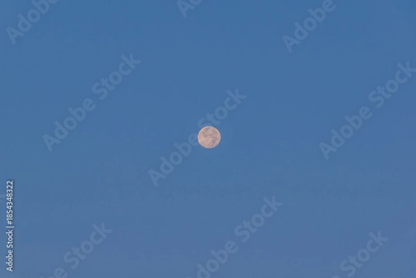 Fototapeta 朝空と月