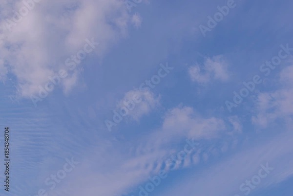 Fototapeta 青空に点在する雲たち