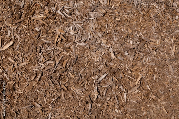 Obraz ground filled with small pieces of wood