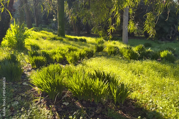 Obraz 世界周遊アドリア海クルーズ　コルフ島モンレポス