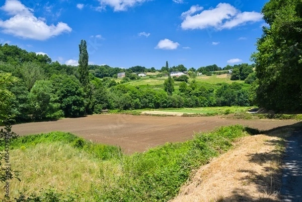 Obraz 길거리, 네이처, 경관, sky, 나무, 마운튼, 여름, 목초, green, 경로, 구름, 농촌, 여행, 들판, 고개, 국가, 시골, 공원, 때, 식물, 경치, 목초지, 내추럴