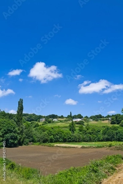 Obraz 나무, sky, 경관, 네이처, 손바닥, 공원, 구름, 목초, 여행, 식물, 시골, 뜰, 여름, 열대, 돌, 이탈리아, 이스라엘, 스페인, 경작, 들판, 마운튼, 경치, 농촌